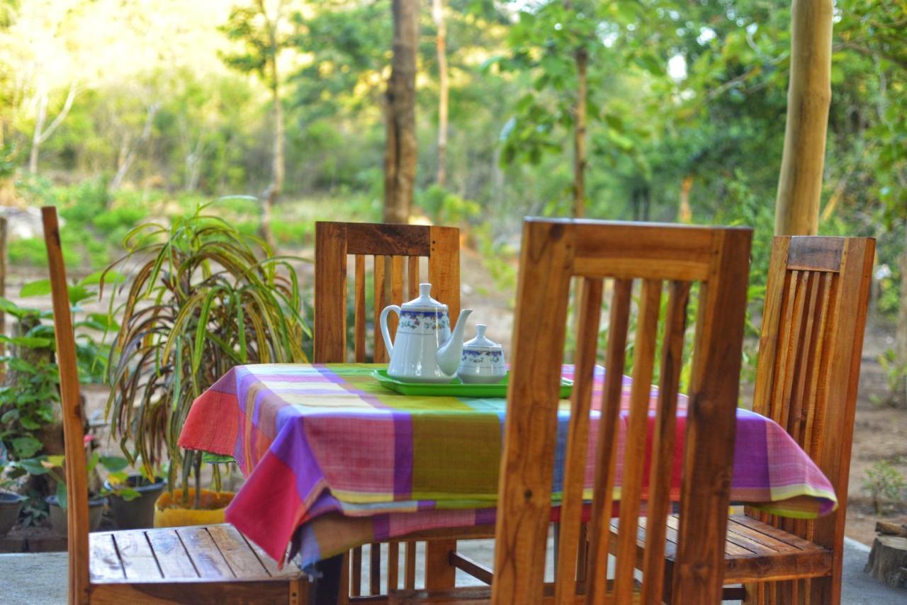 Pidurangala View Treehouse Apartment Sigiriya Exterior foto