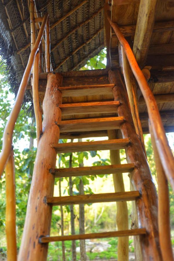 Pidurangala View Treehouse Apartment Sigiriya Exterior foto