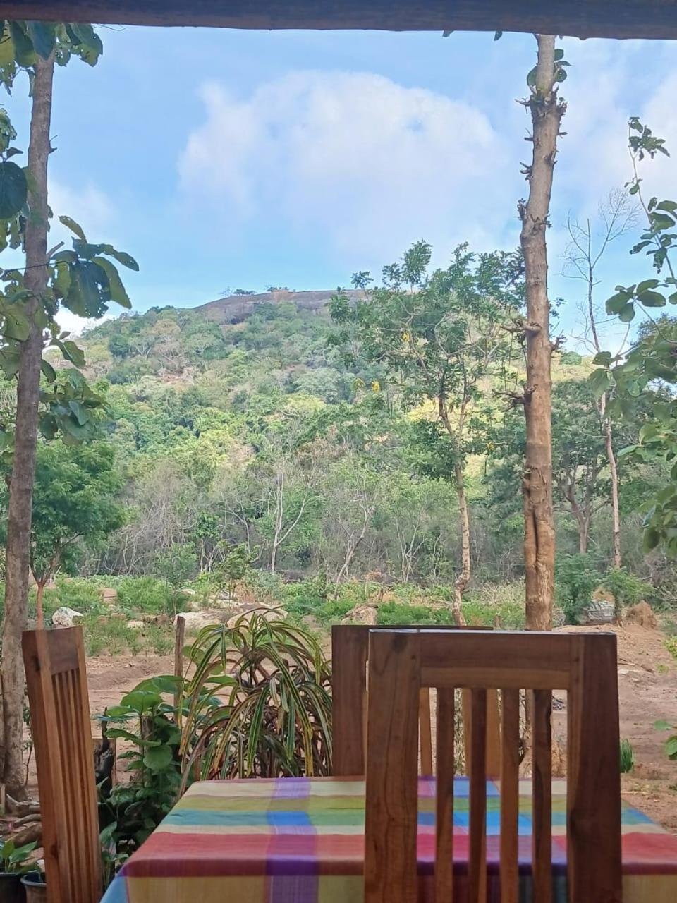 Pidurangala View Treehouse Apartment Sigiriya Exterior foto