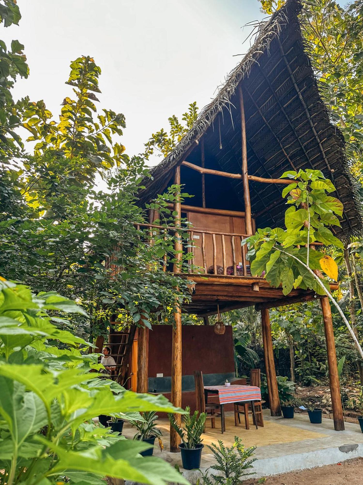 Pidurangala View Treehouse Apartment Sigiriya Exterior foto