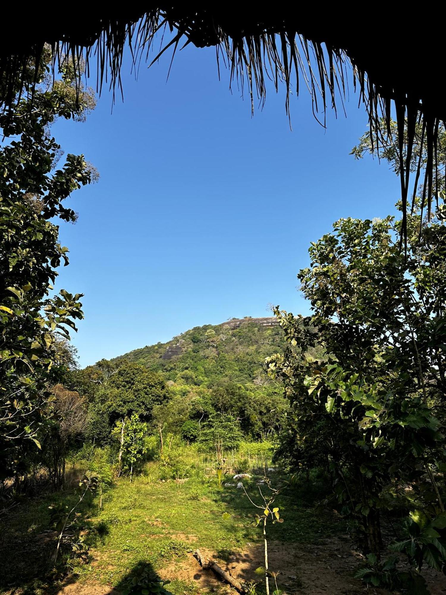 Pidurangala View Treehouse Apartment Sigiriya Exterior foto