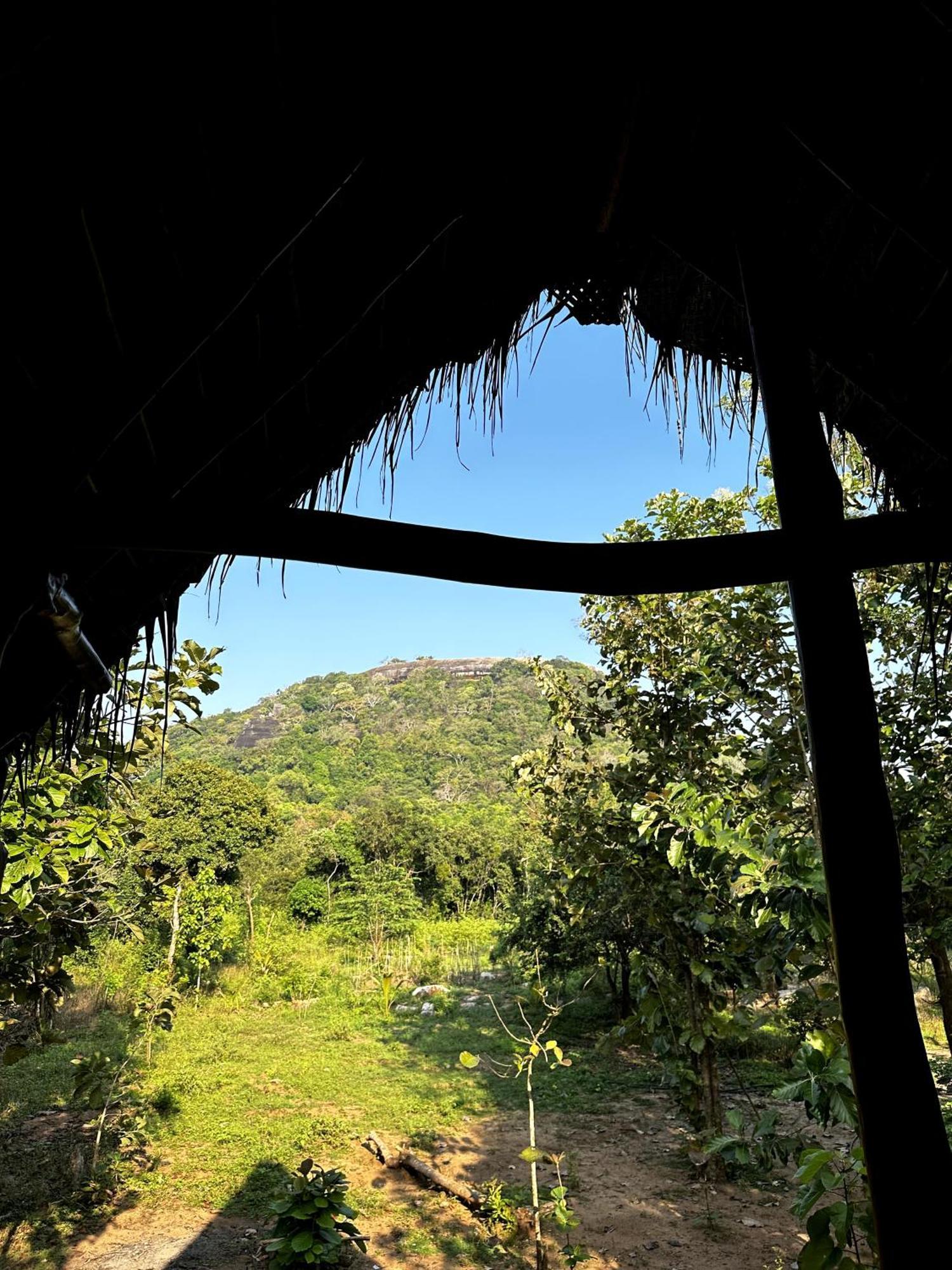 Pidurangala View Treehouse Apartment Sigiriya Exterior foto