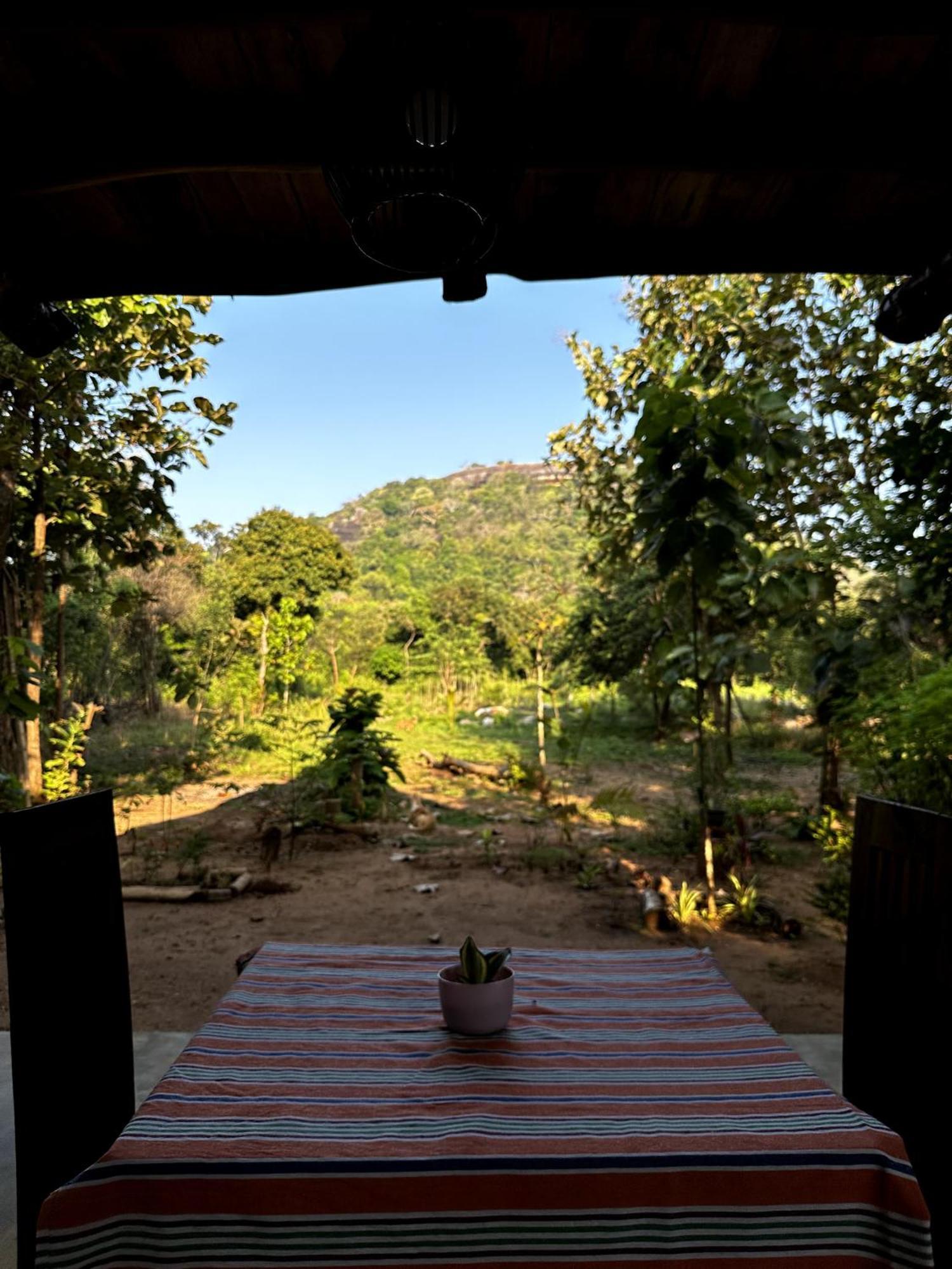 Pidurangala View Treehouse Apartment Sigiriya Exterior foto