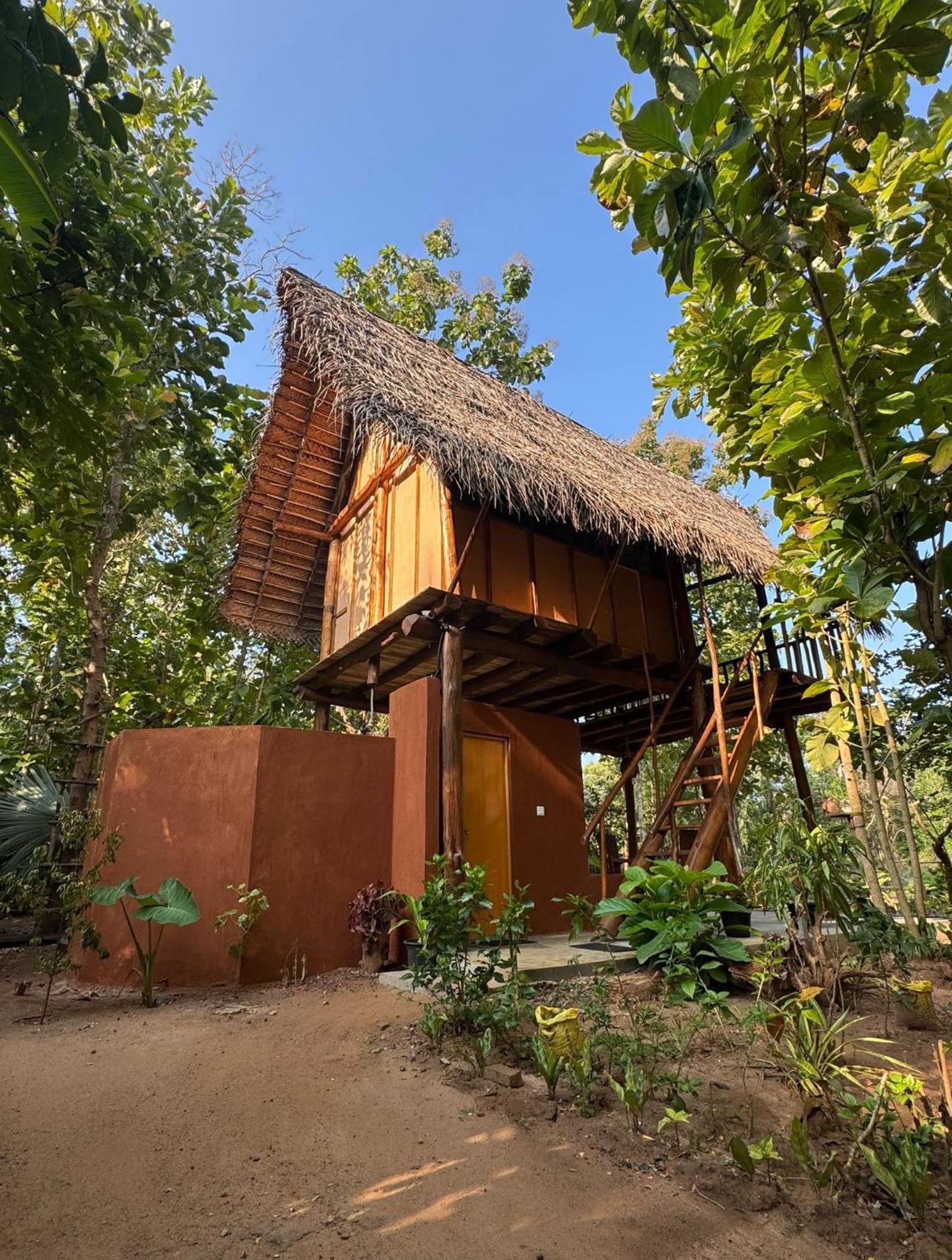 Pidurangala View Treehouse Apartment Sigiriya Exterior foto