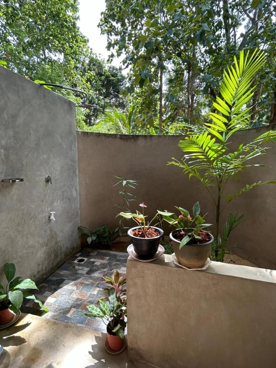 Pidurangala View Treehouse Apartment Sigiriya Exterior foto